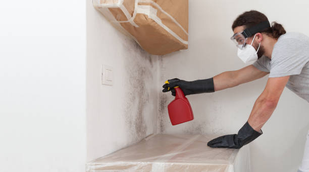Professional Mold Testing technician working in Maplewood, NJ